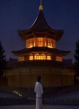 国产都市爱情剧封面图，两位主角在城市夜景前相视而笑，暖色调浪漫氛围，电影网站热播国产剧